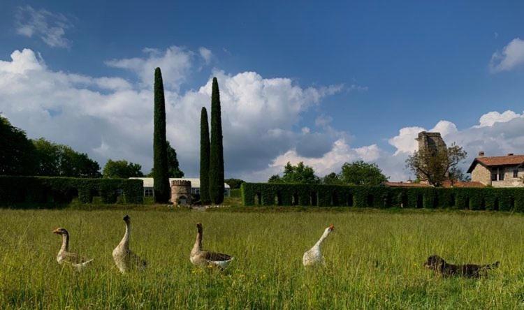 Castello Di Cernusco Lombardone Bed and Breakfast Buitenkant foto